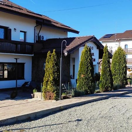 Hotel Complex Transalpina Aninisu din Vale Exterior foto