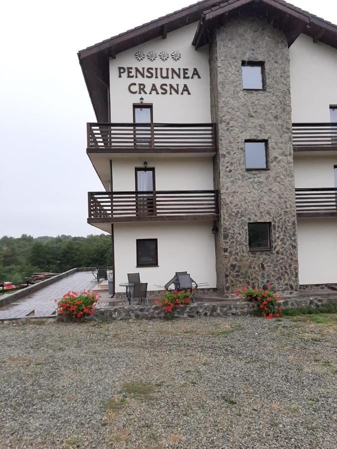 Hotel Complex Transalpina Aninisu din Vale Exterior foto
